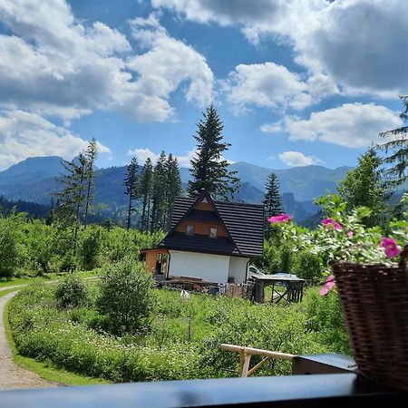 Goralska Chata Przy Dolinie Chocholowskiej Witów Buitenkant foto