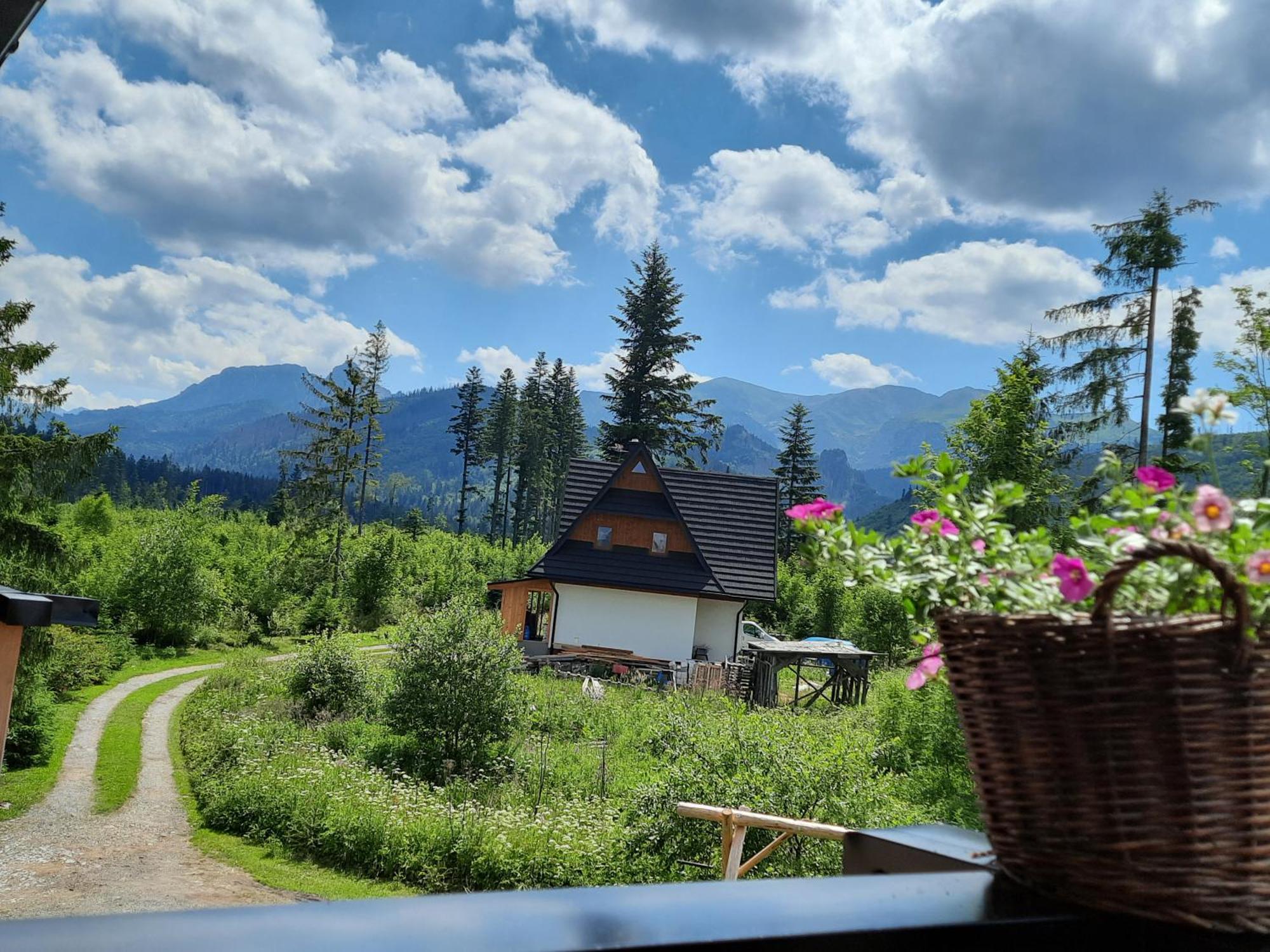 Goralska Chata Przy Dolinie Chocholowskiej Witów Buitenkant foto