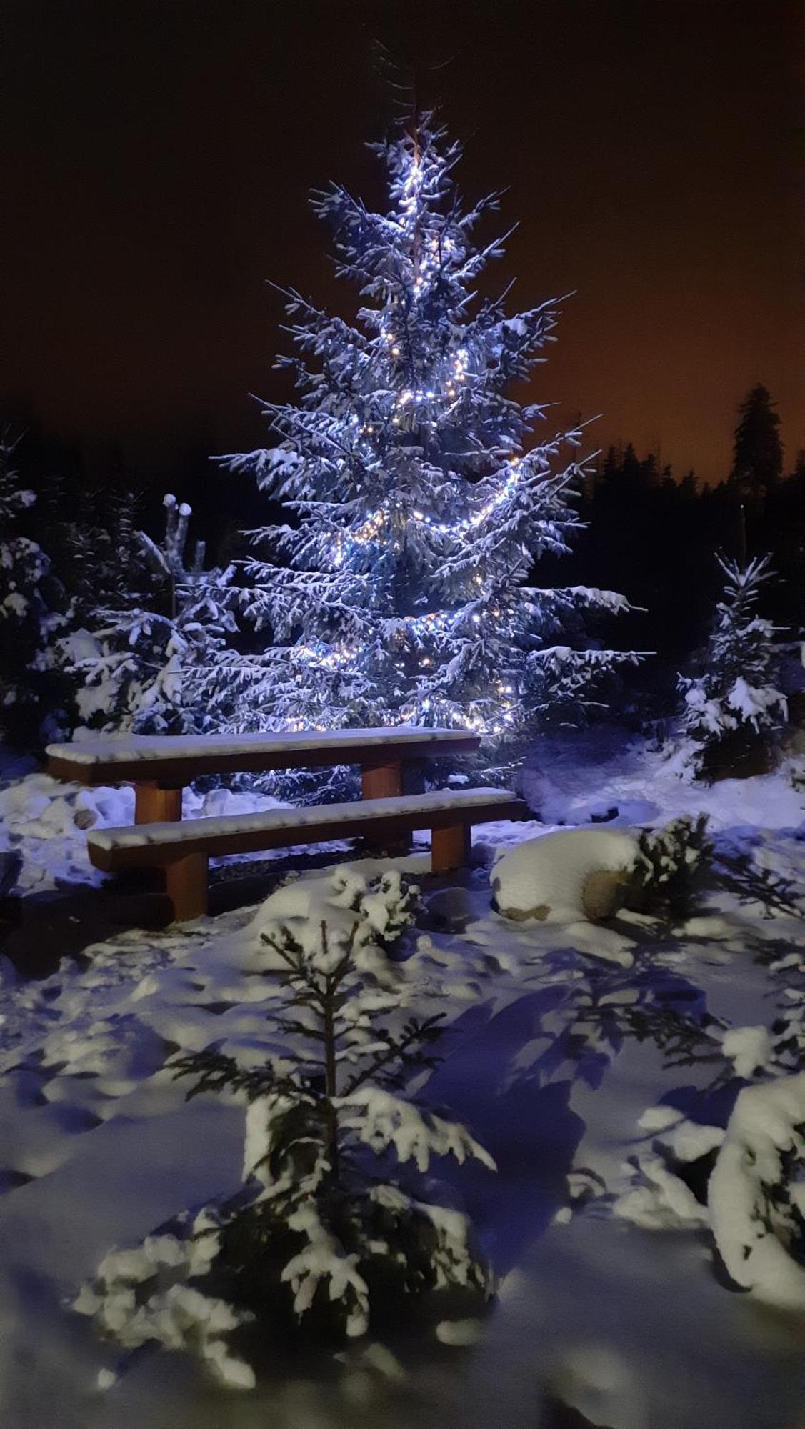 Goralska Chata Przy Dolinie Chocholowskiej Witów Buitenkant foto