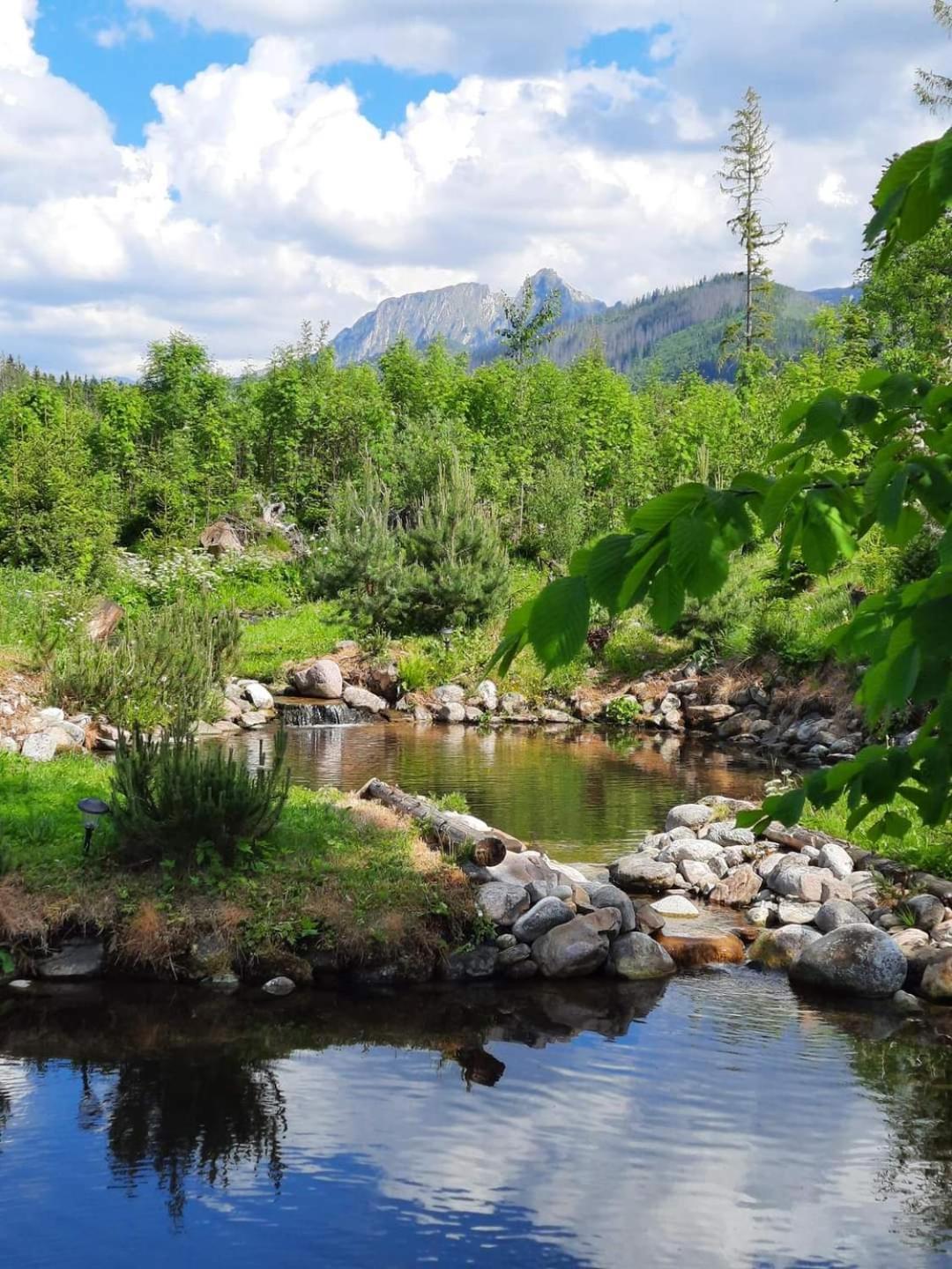Goralska Chata Przy Dolinie Chocholowskiej Witów Buitenkant foto