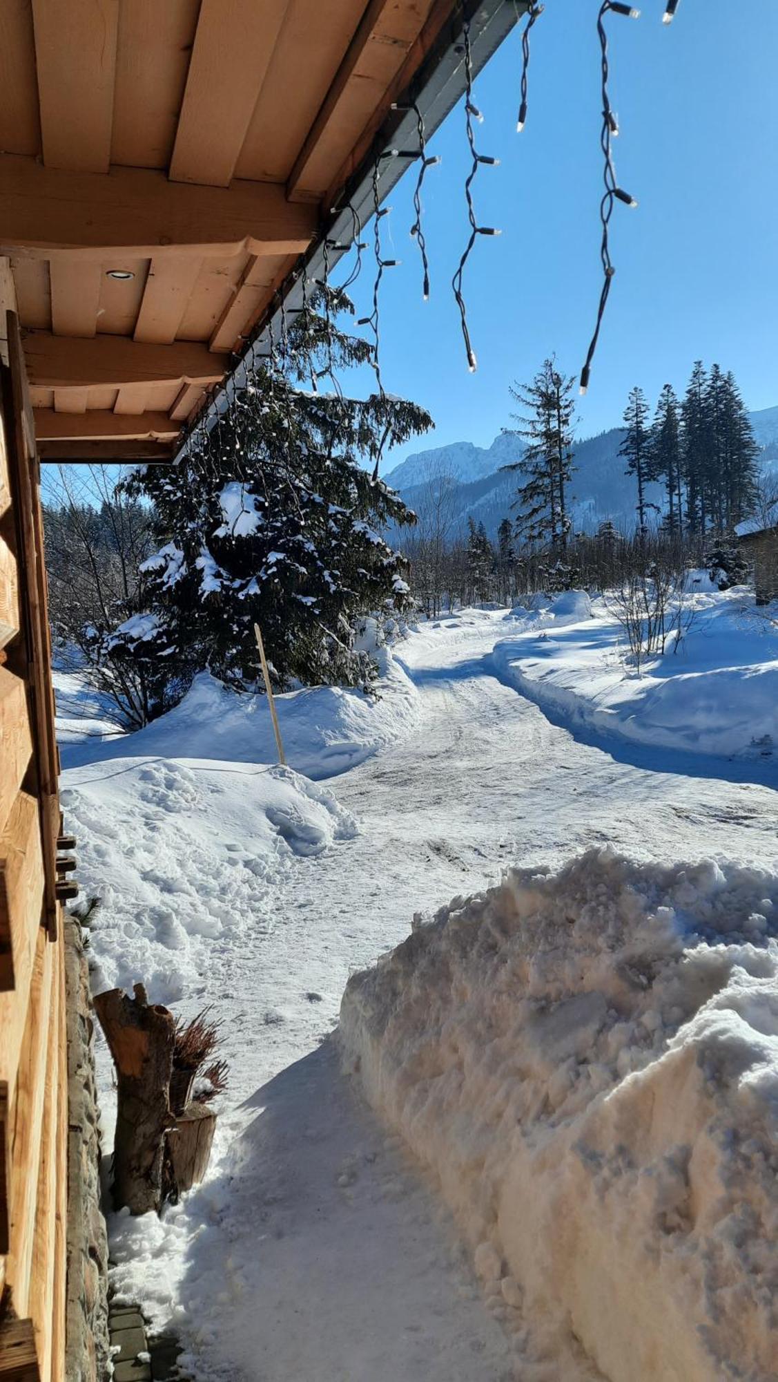 Goralska Chata Przy Dolinie Chocholowskiej Witów Buitenkant foto