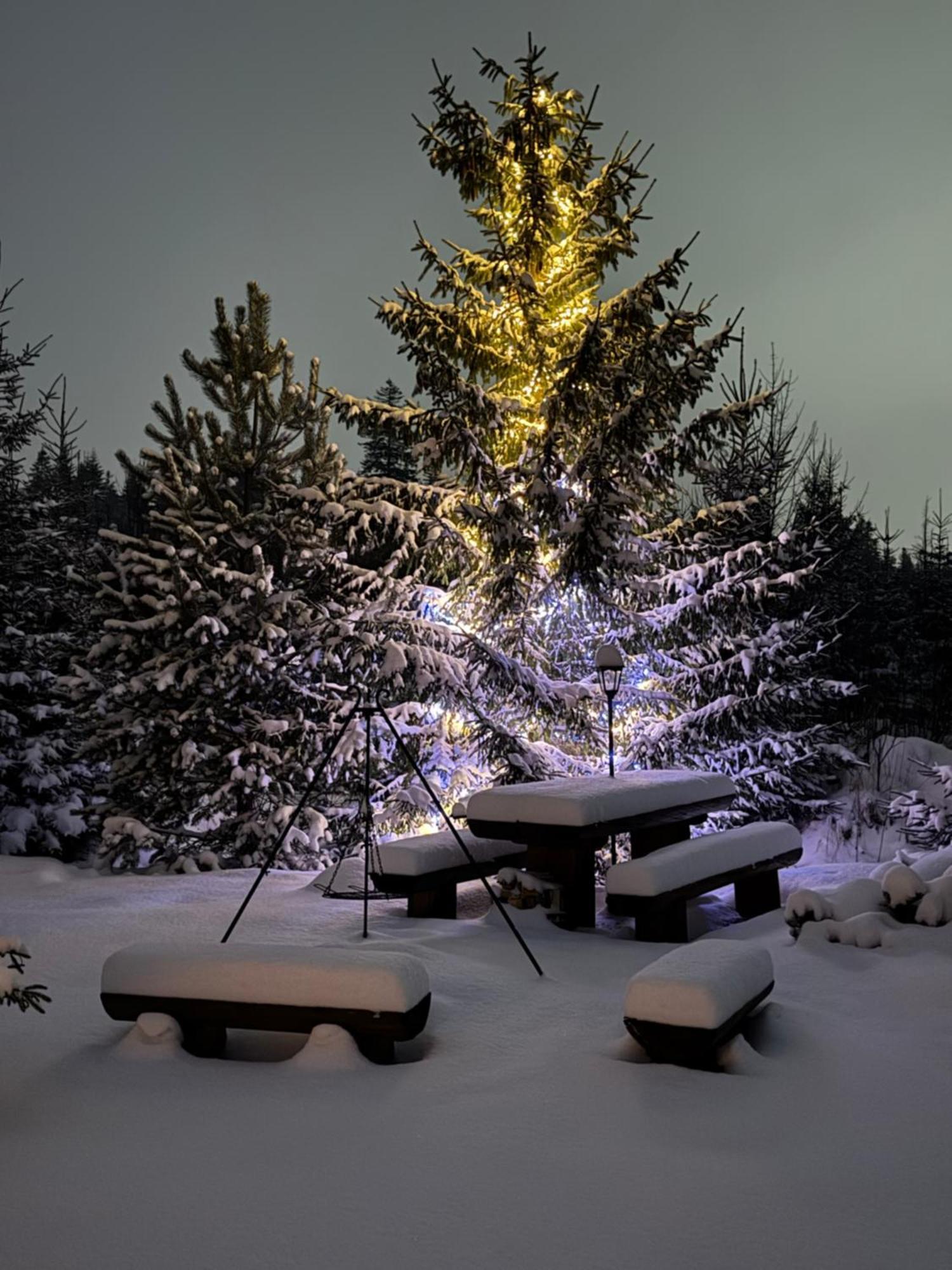 Goralska Chata Przy Dolinie Chocholowskiej Witów Buitenkant foto